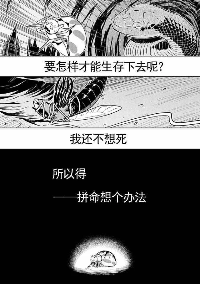 8 第8页