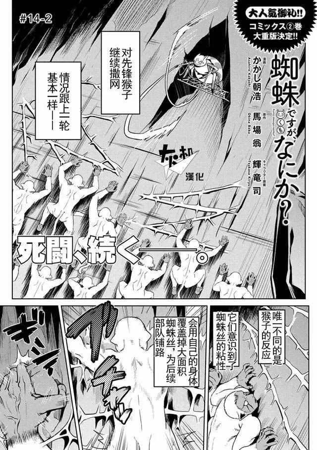 14.2 第1页