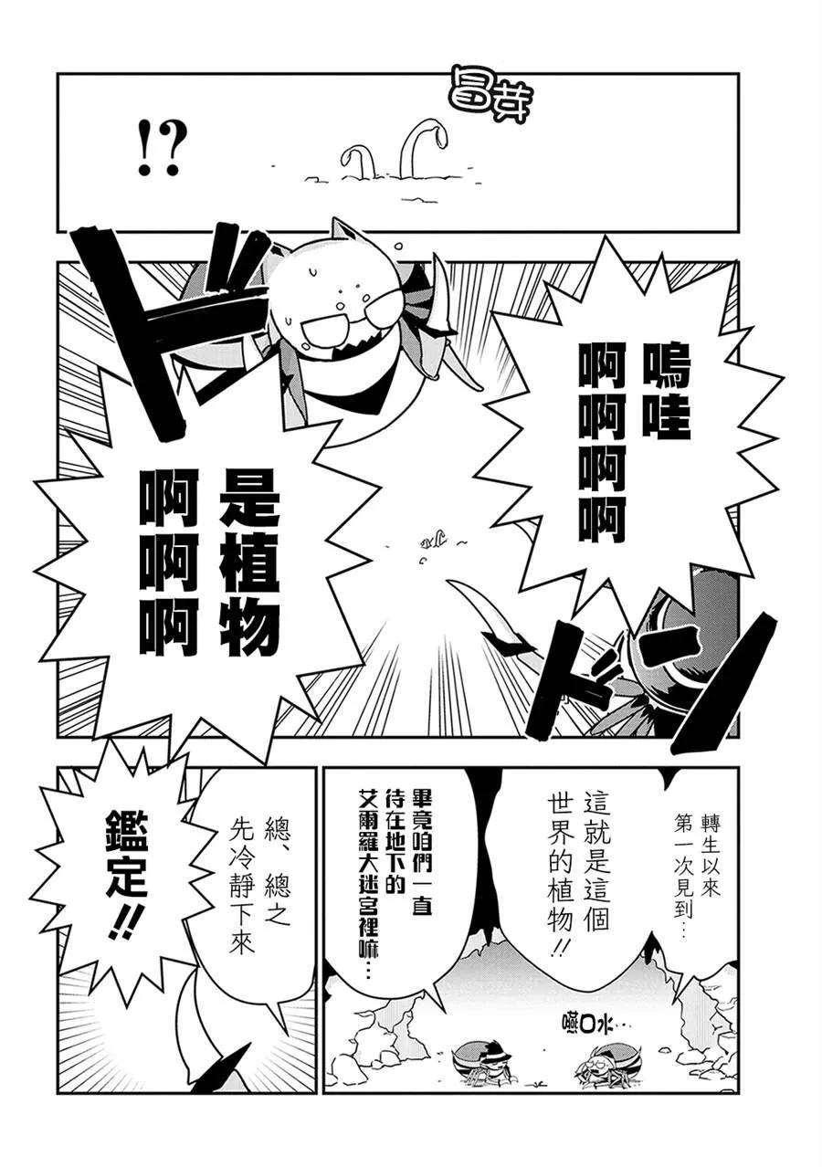 20 第13页