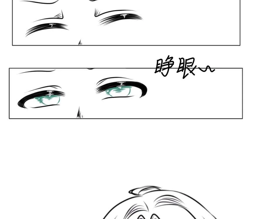 25号组织 第12页
