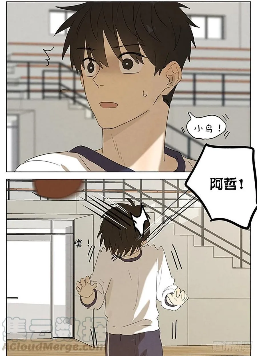 手机 第5页