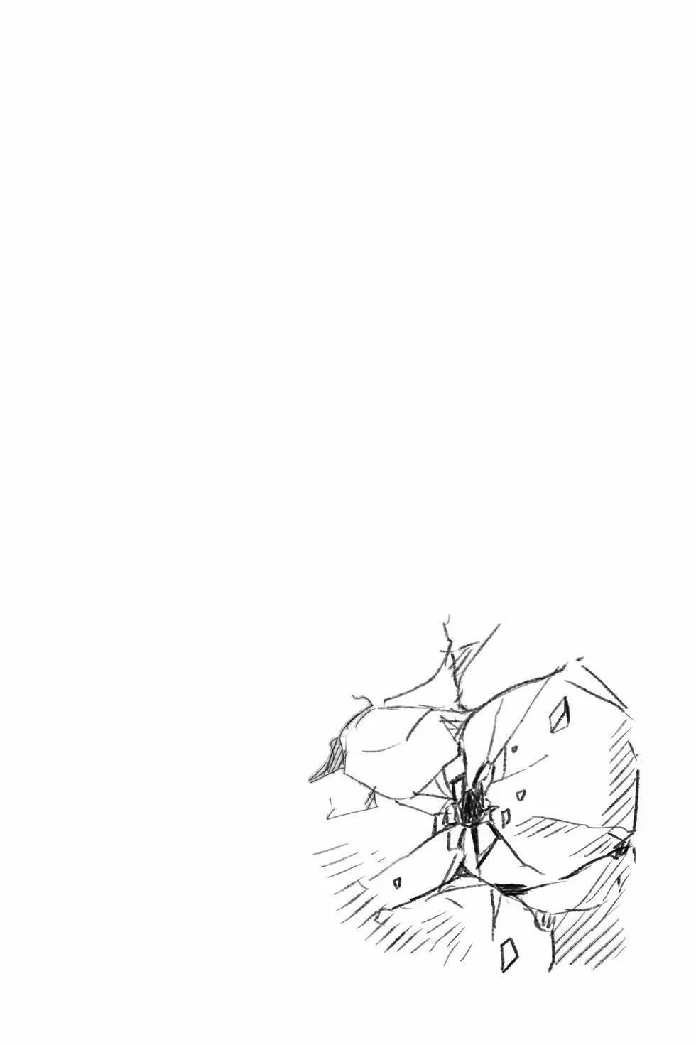 第13卷 第107页