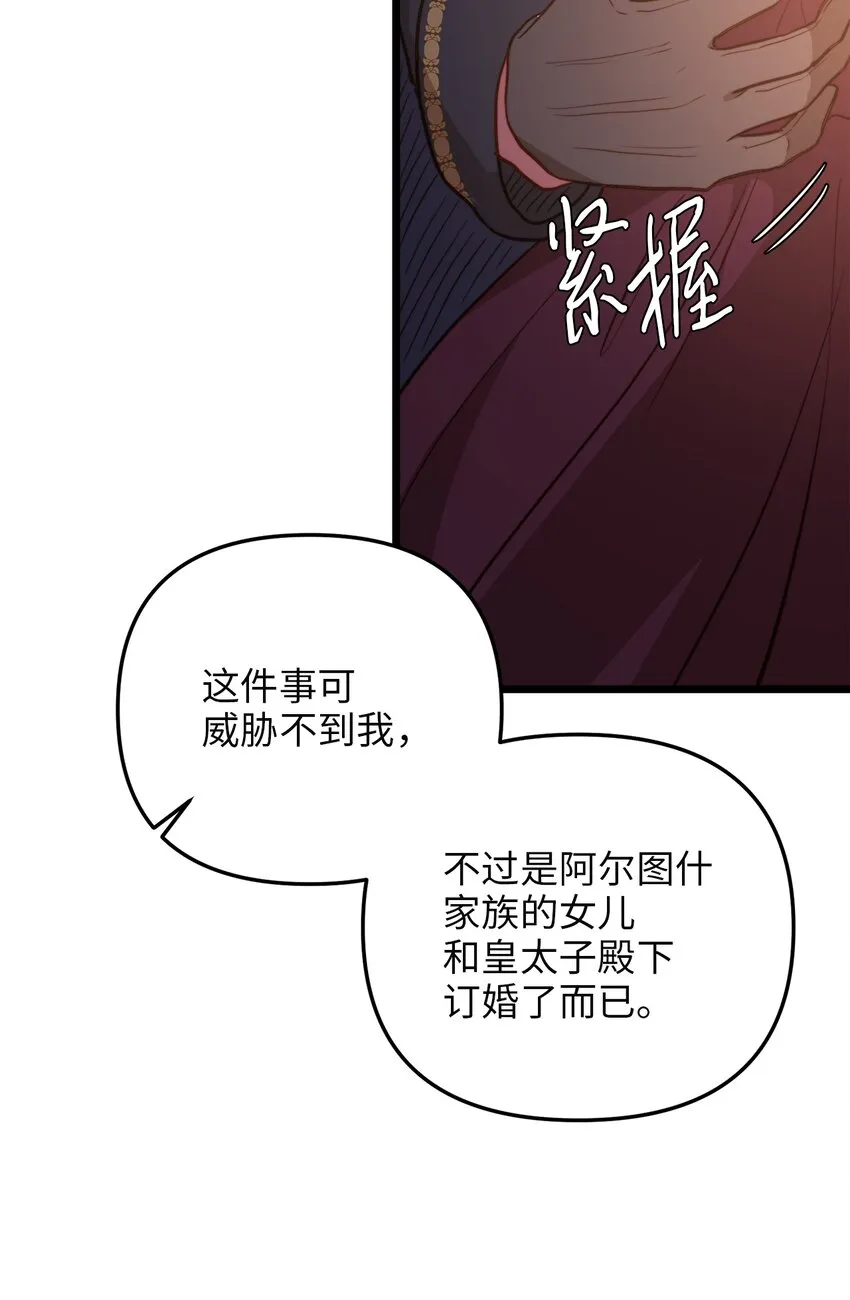 66 与坤斯坦切见面 第35页