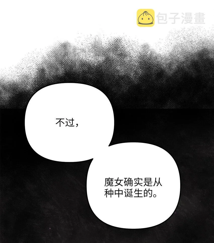 66 与坤斯坦切见面 第59页