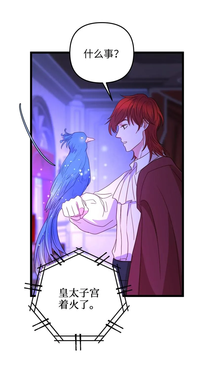24 合约开始 第17页