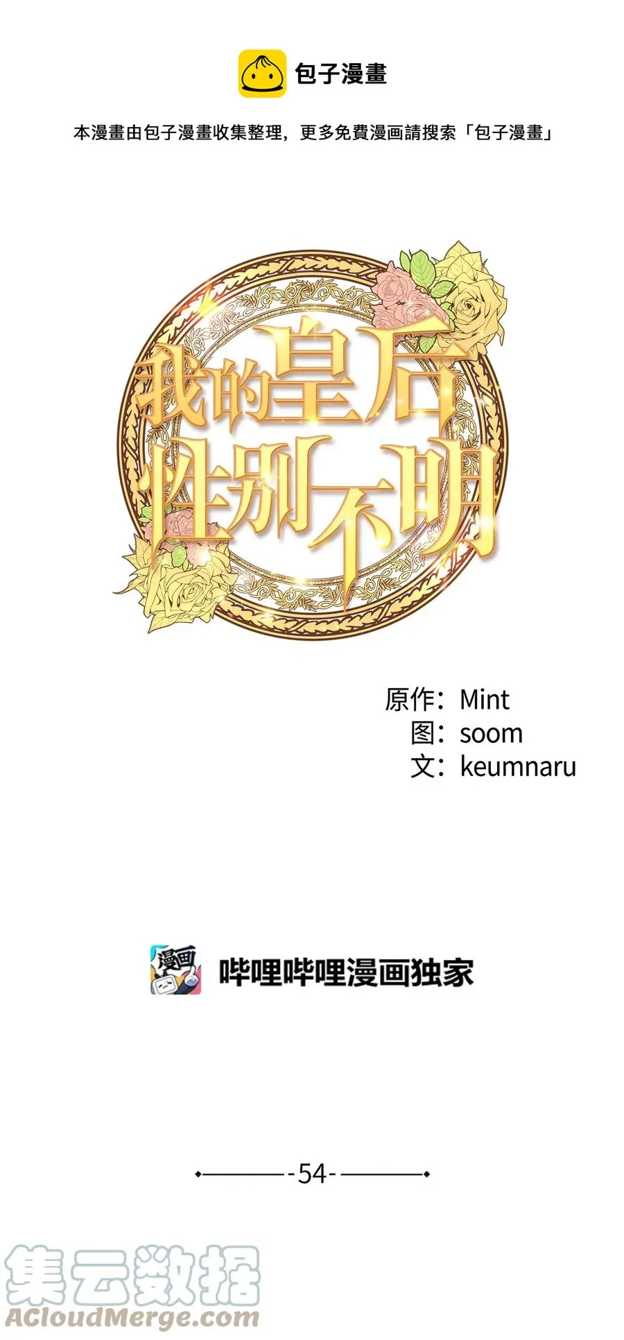 54 矛盾的缇索尔 第37页
