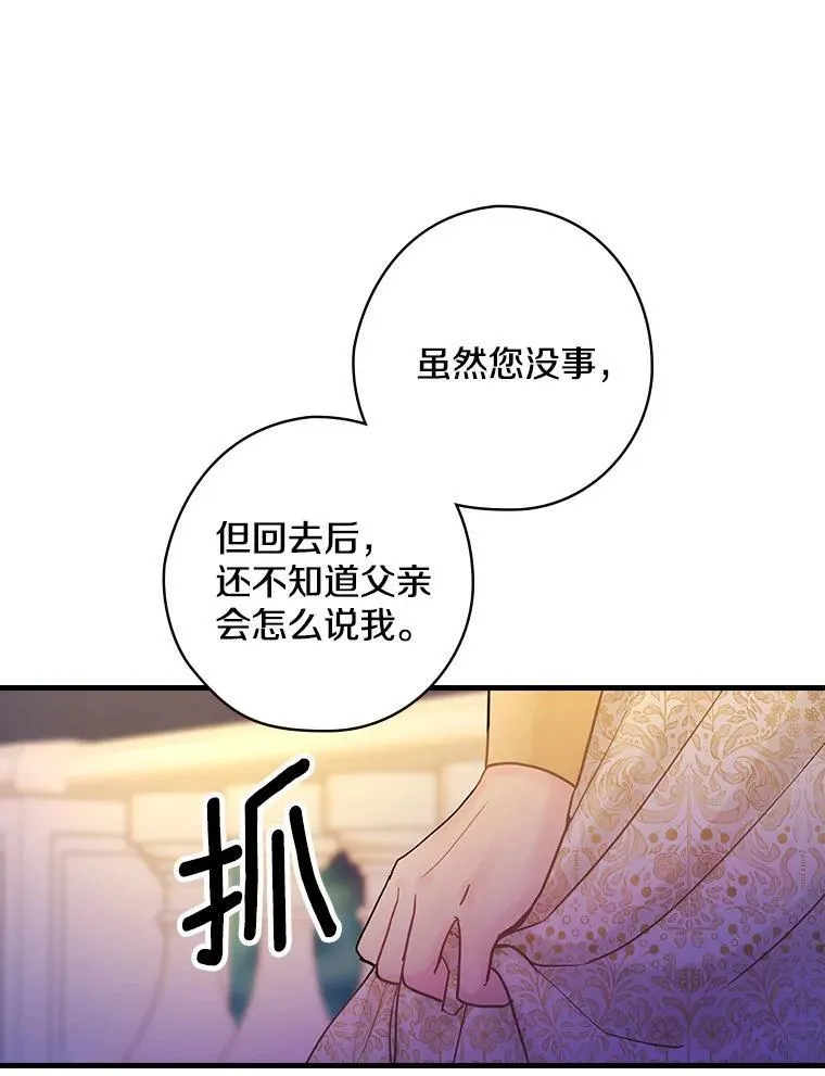52.胡安·罗伯特 第8页