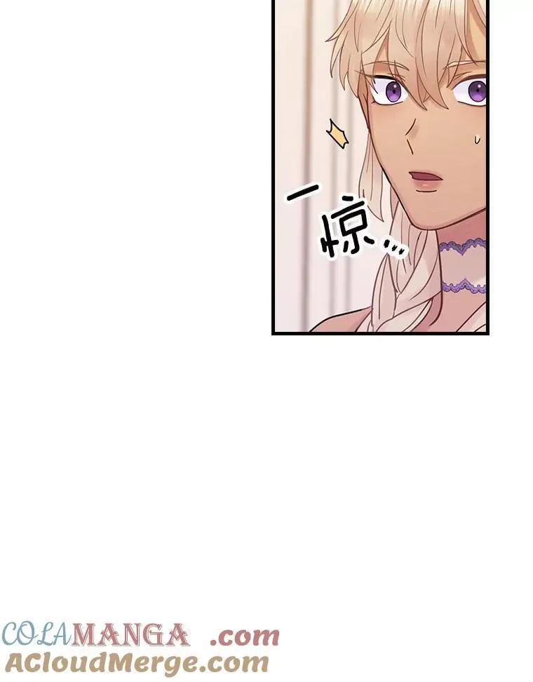 52.胡安·罗伯特 第17页