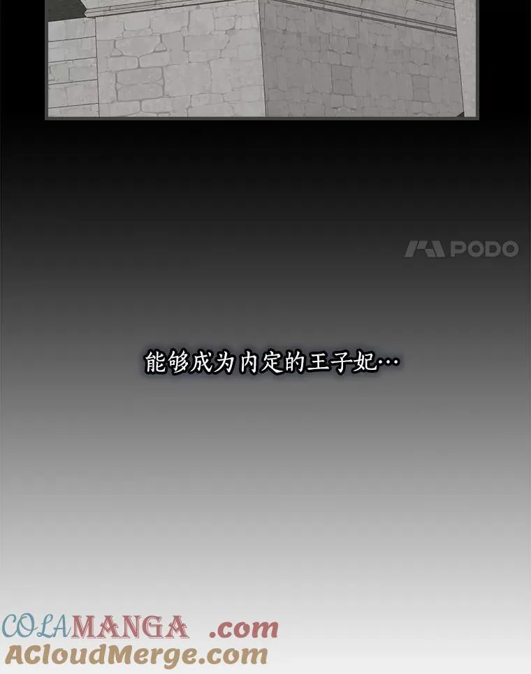 52.胡安·罗伯特 第101页