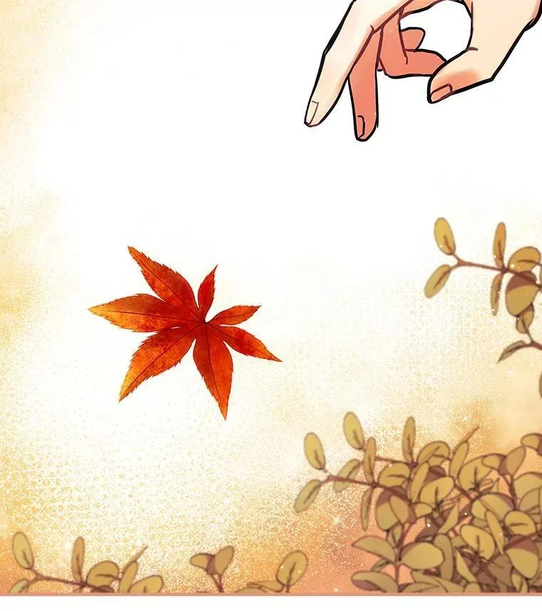 61.如何选择 第115页