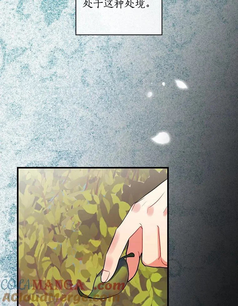 66.献出领地 第69页