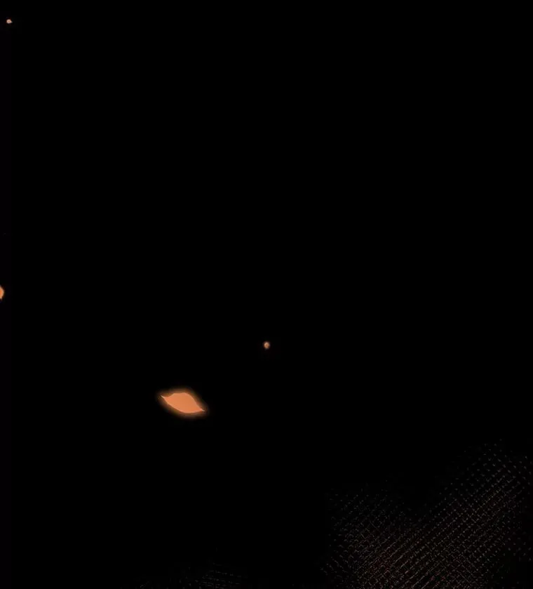 68.私生子 第10页