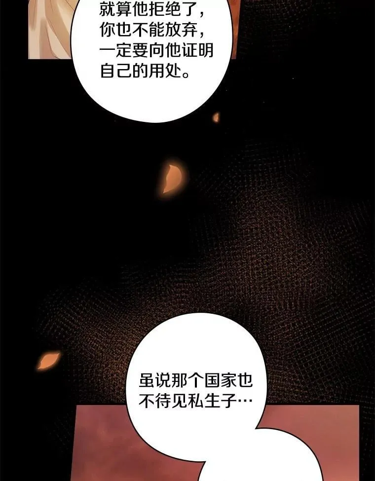 68.私生子 第18页