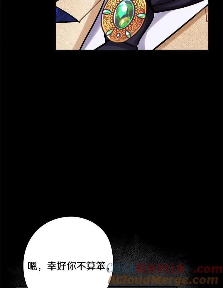 68.私生子 第37页