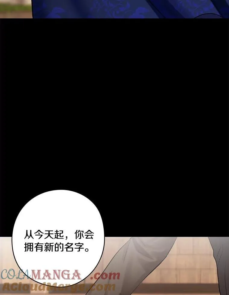 68.私生子 第41页