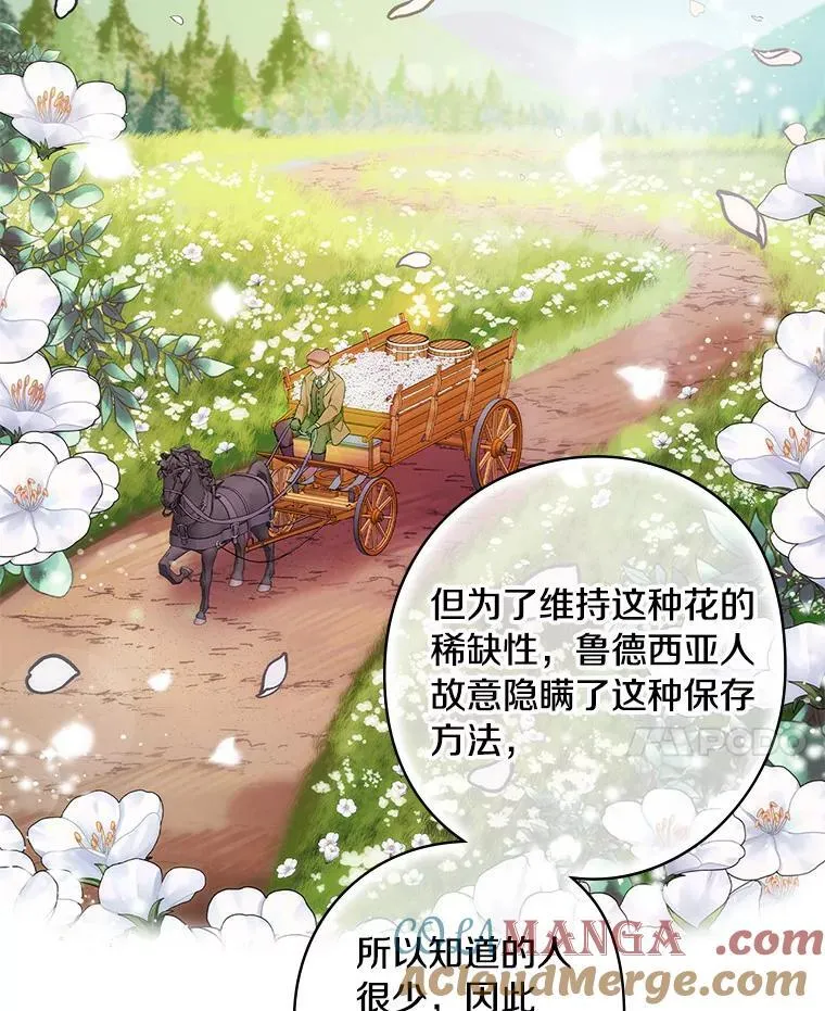 68.私生子 第65页
