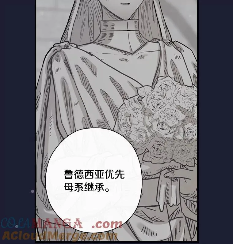 84.卡尔泰亚少公爵 第17页