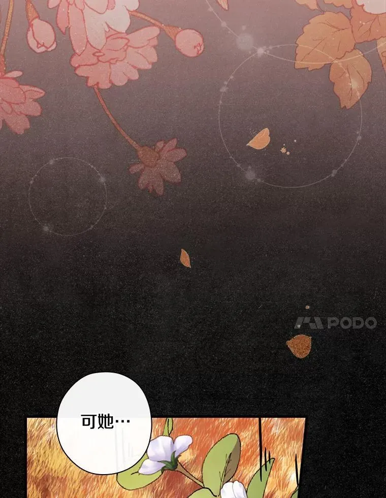 84.卡尔泰亚少公爵 第91页