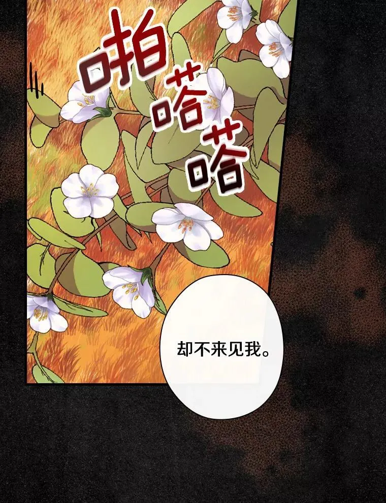 84.卡尔泰亚少公爵 第92页