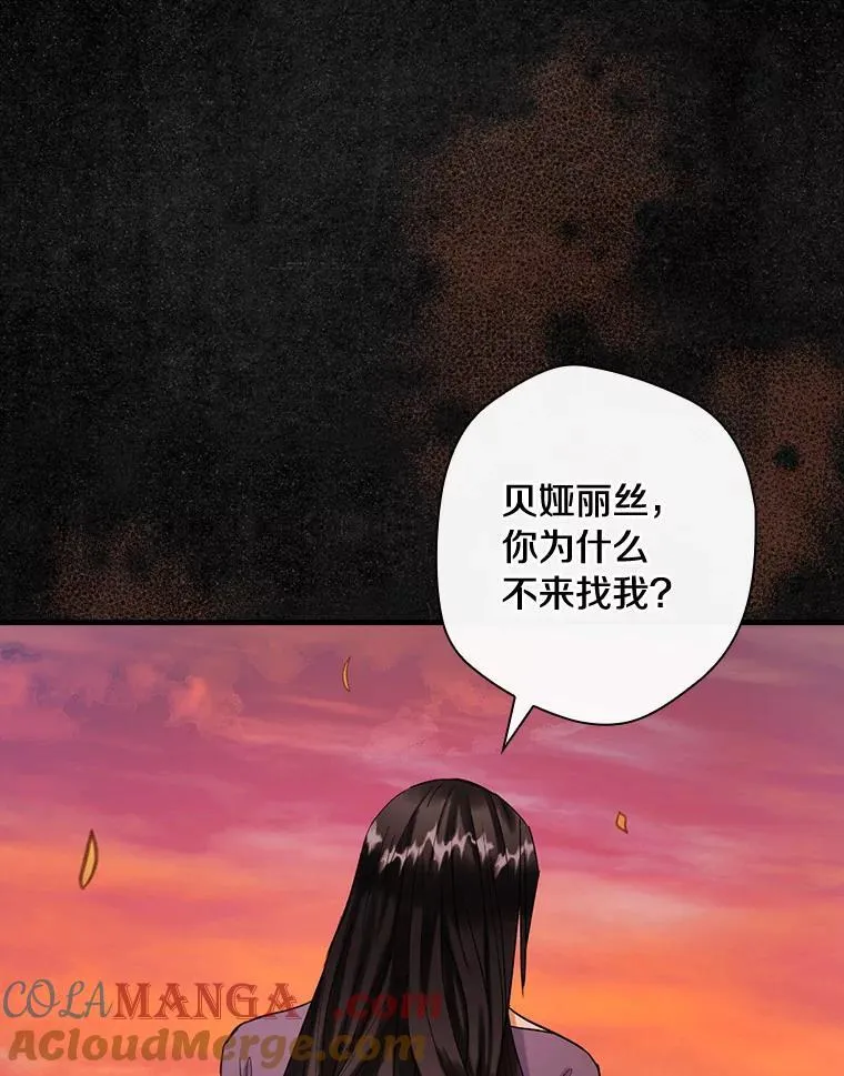 84.卡尔泰亚少公爵 第93页