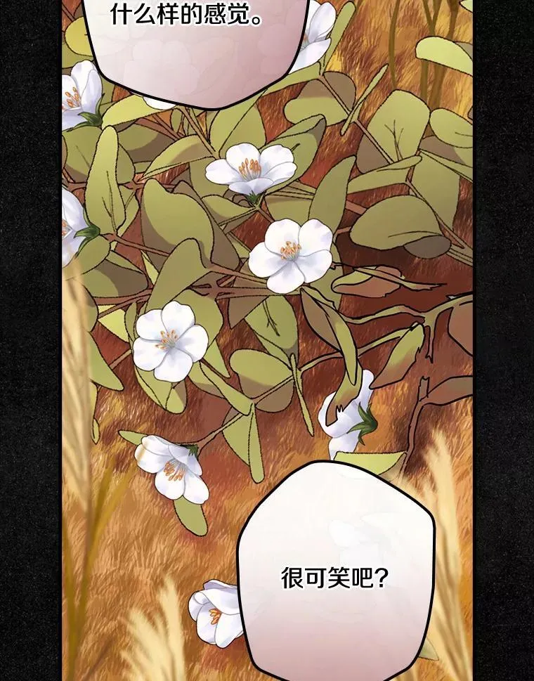 84.卡尔泰亚少公爵 第104页