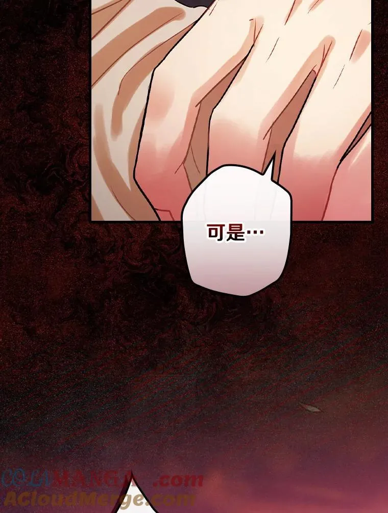 84.卡尔泰亚少公爵 第109页