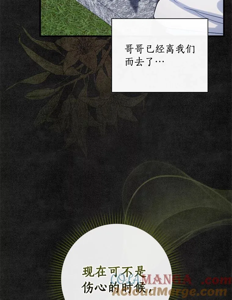 92.继承爵位 第29页
