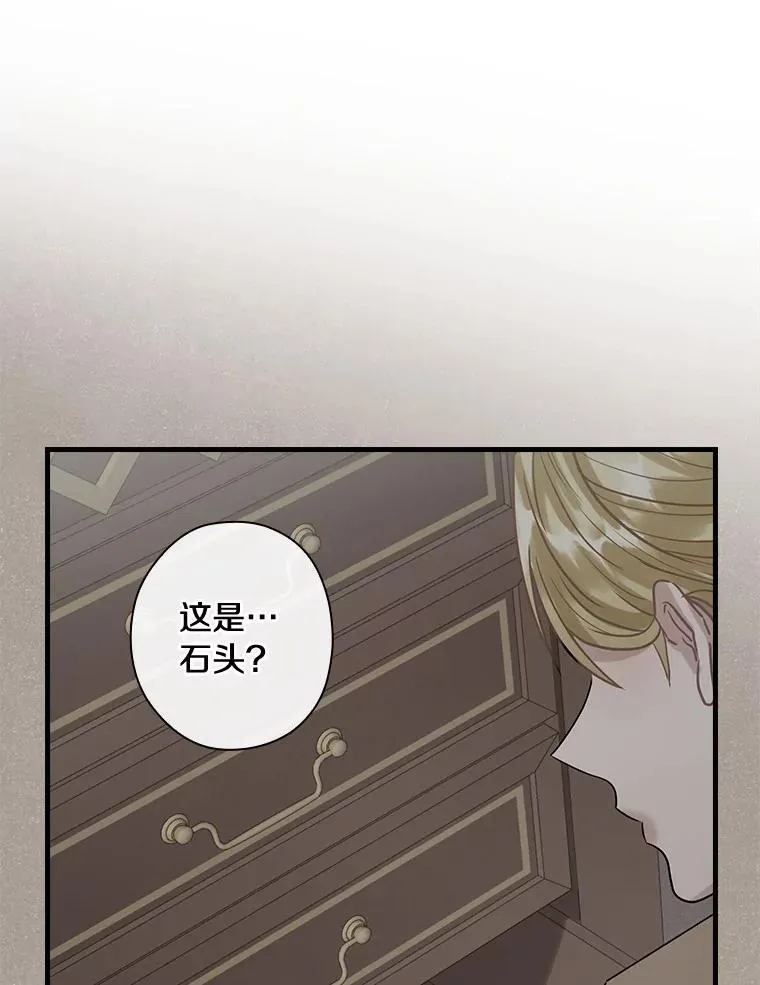 99.维森特的选择 第70页