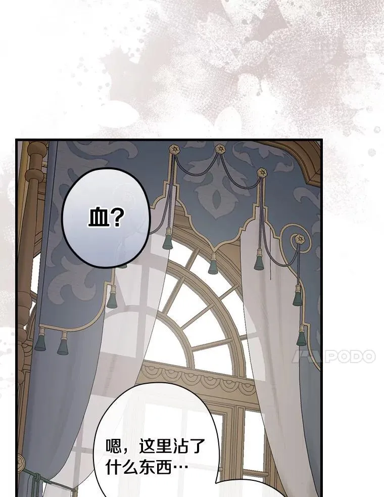 99.维森特的选择 第87页