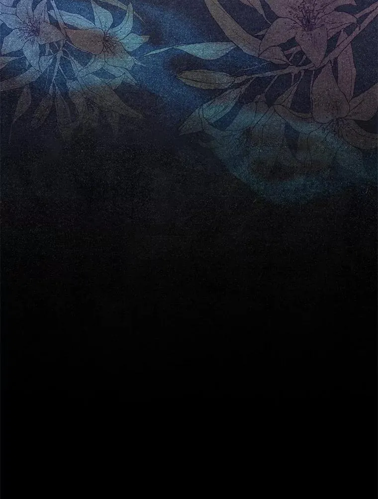 99.维森特的选择 第108页