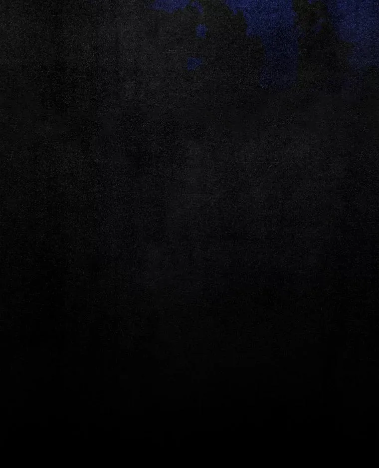 106.“维森特” 第8页