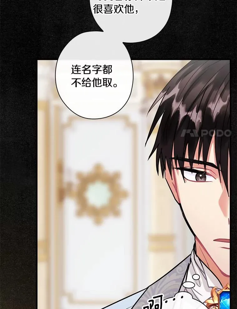 106.“维森特” 第15页