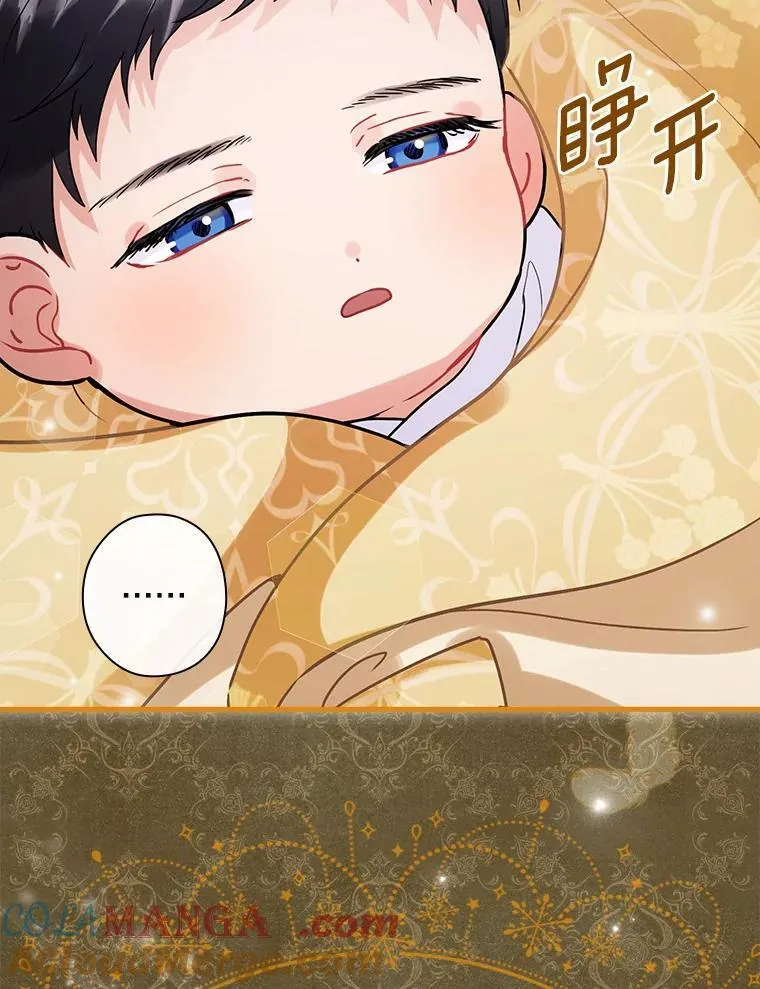 106.“维森特” 第17页