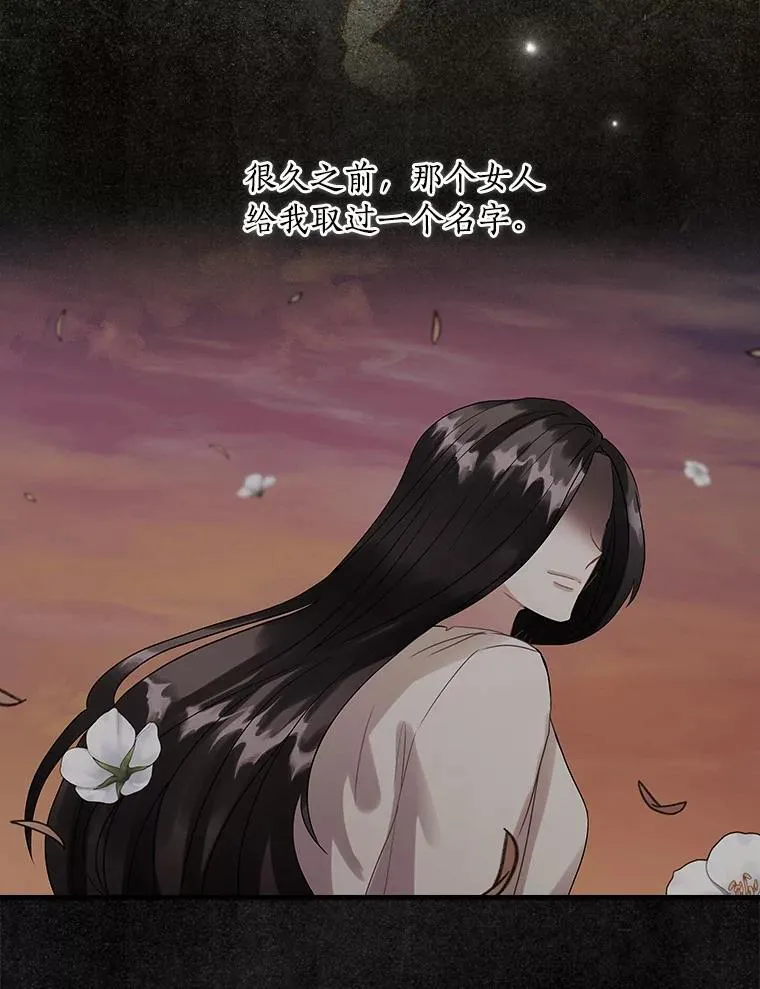 106.“维森特” 第19页