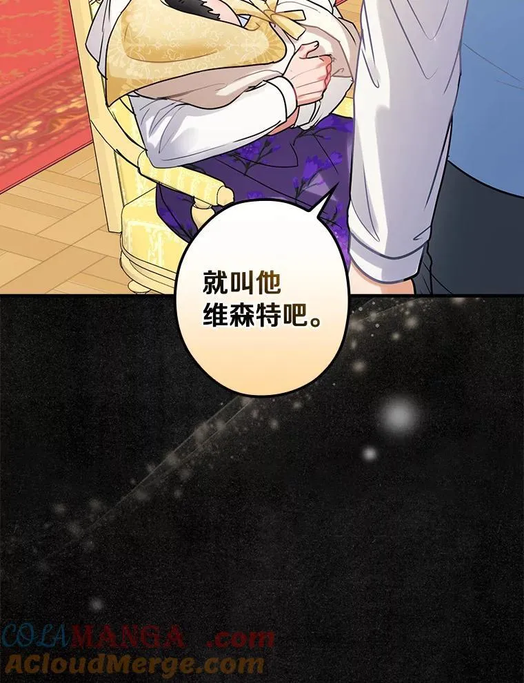 106.“维森特” 第21页