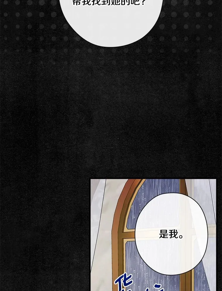 106.“维森特” 第30页