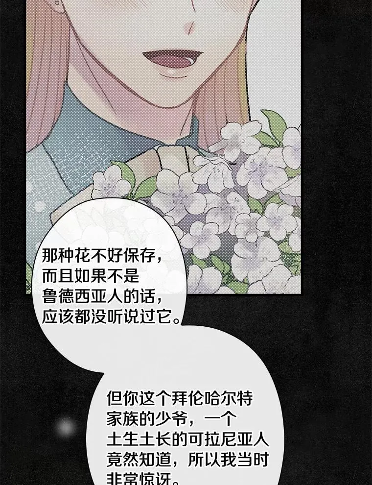 106.“维森特” 第36页