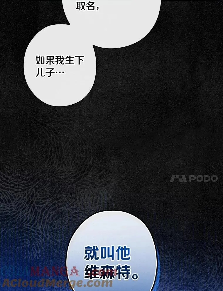 106.“维森特” 第41页