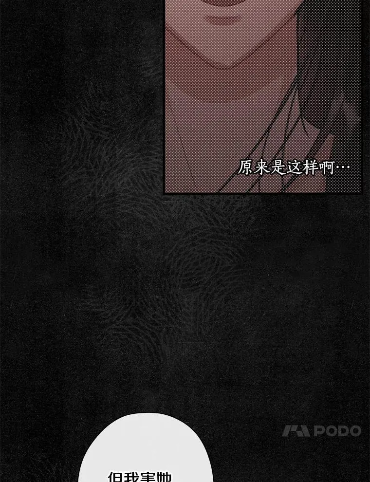 106.“维森特” 第44页
