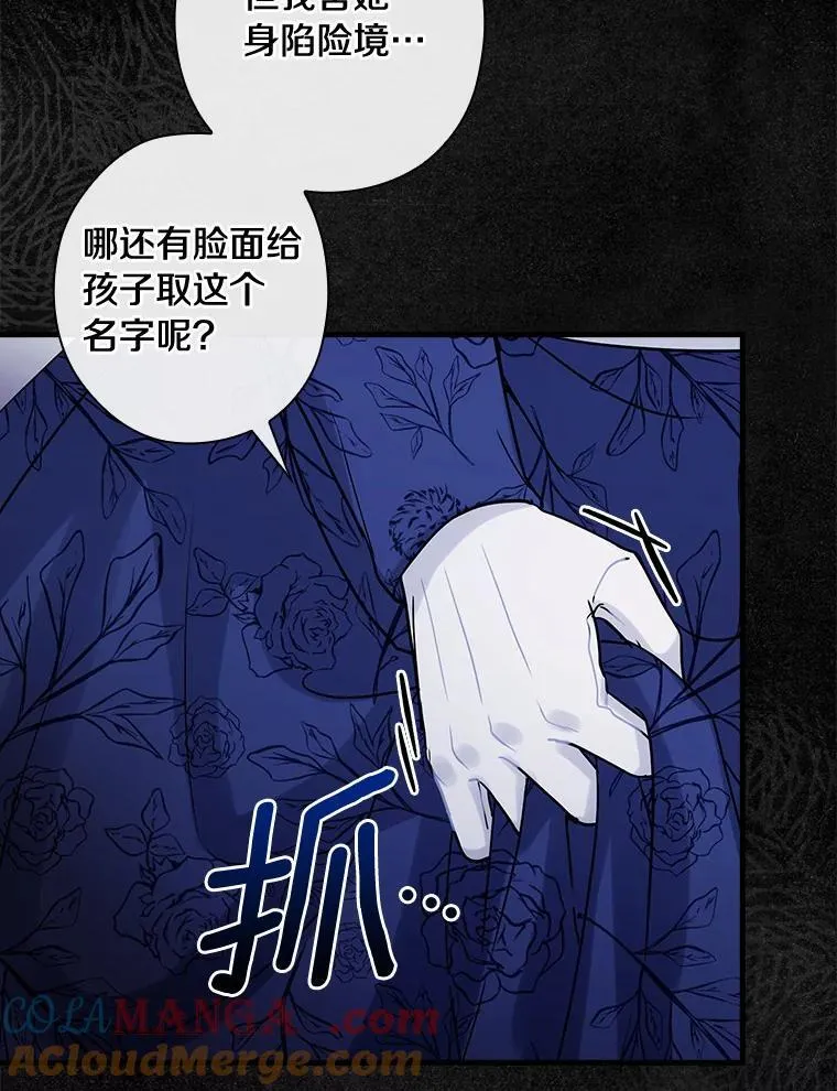 106.“维森特” 第45页