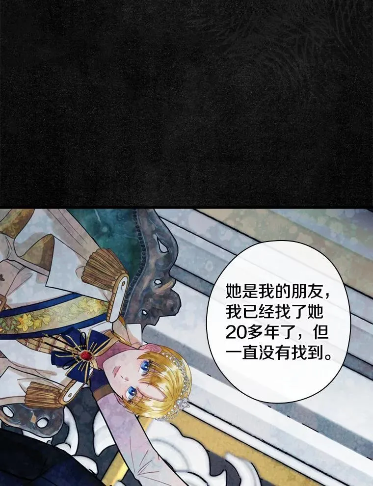 106.“维森特” 第46页