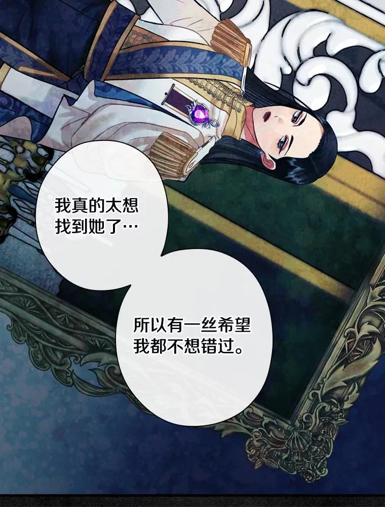 106.“维森特” 第47页