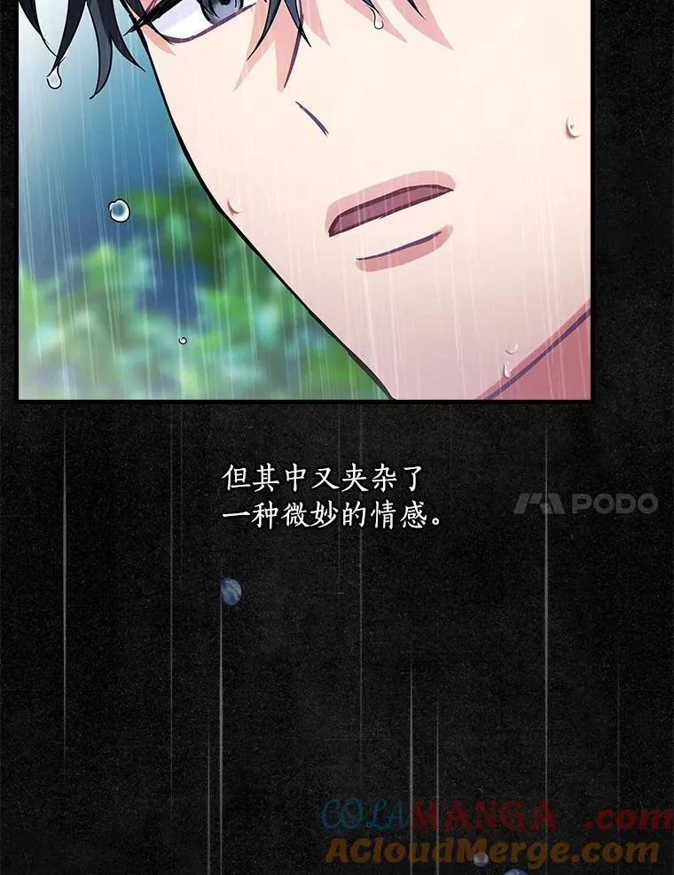 106.“维森特” 第77页
