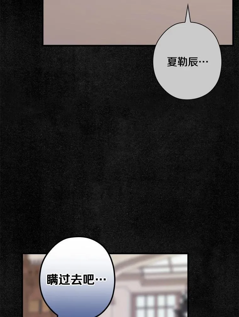106.“维森特” 第95页