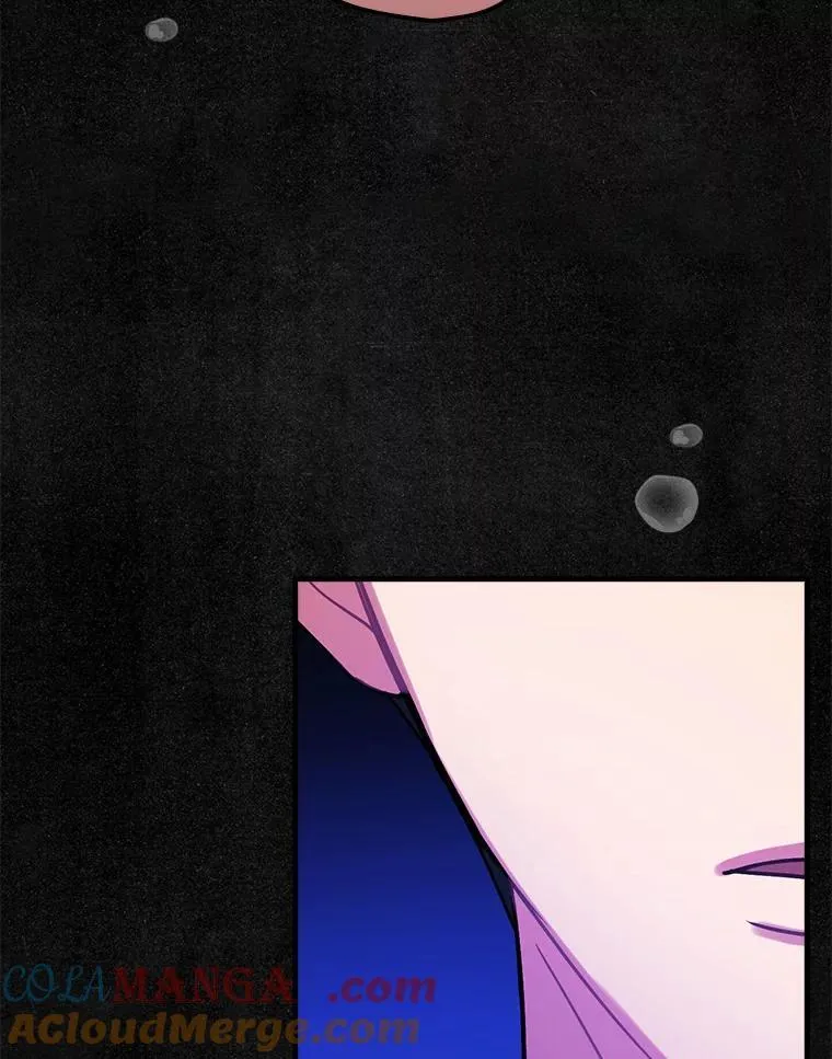 106.“维森特” 第105页