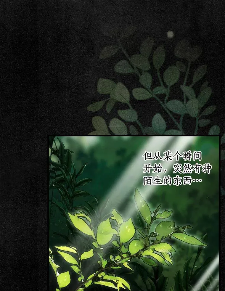 107.她的家族 第86页
