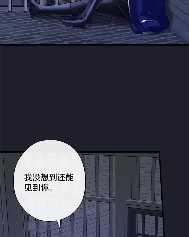113.再次重逢 第11页