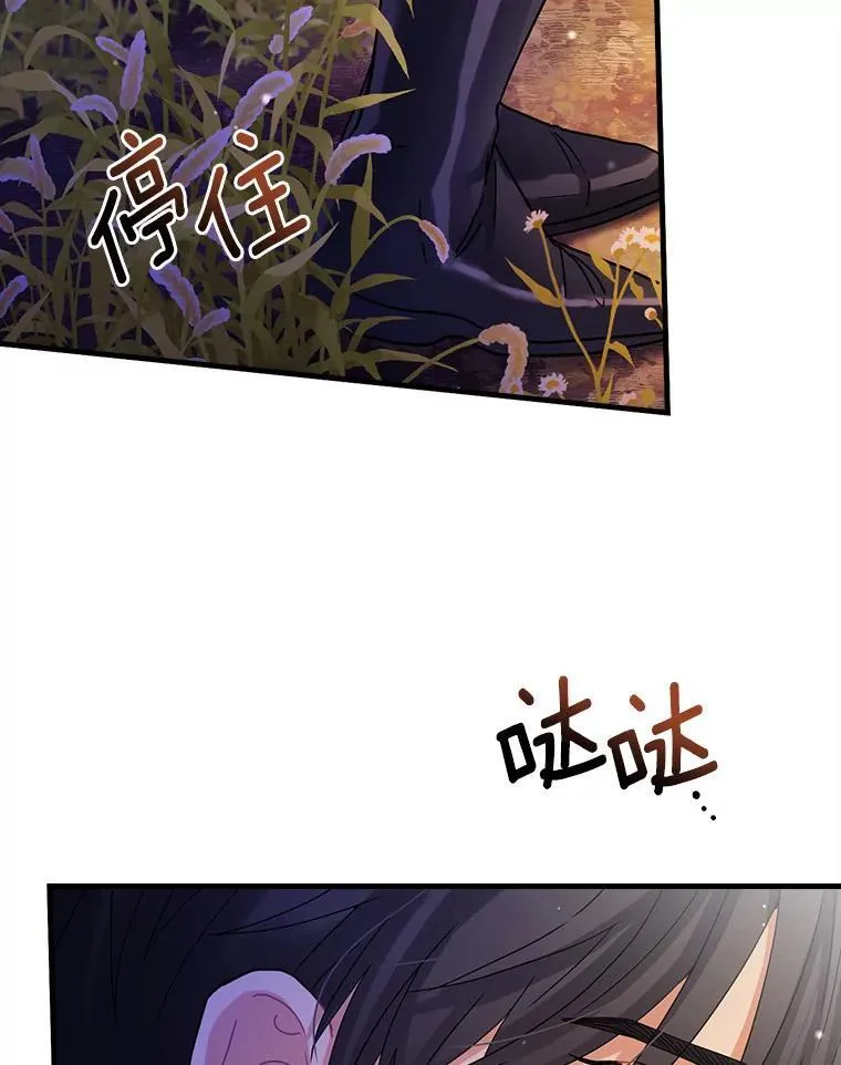 113.再次重逢 第44页