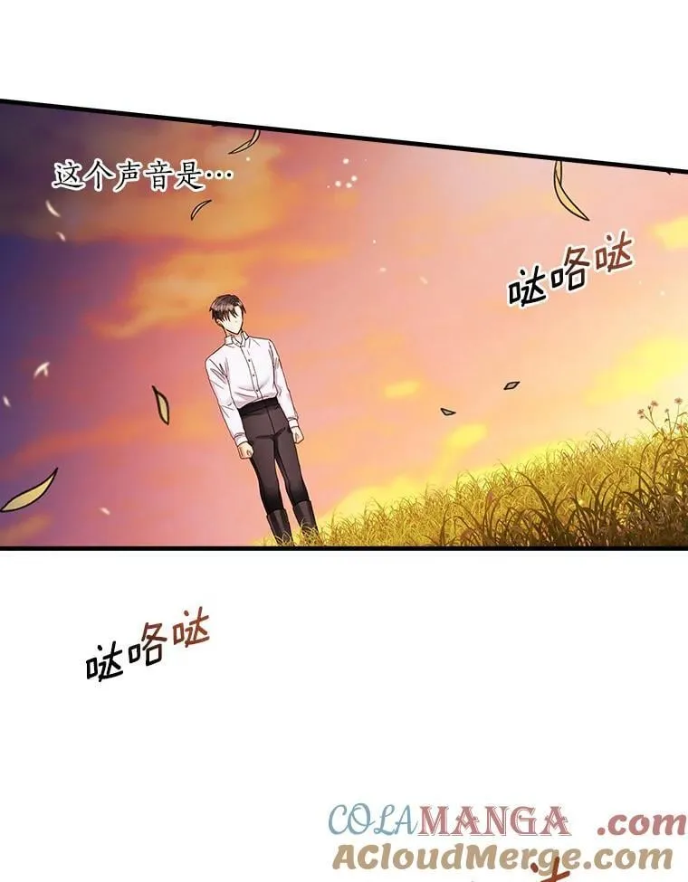 113.再次重逢 第46页