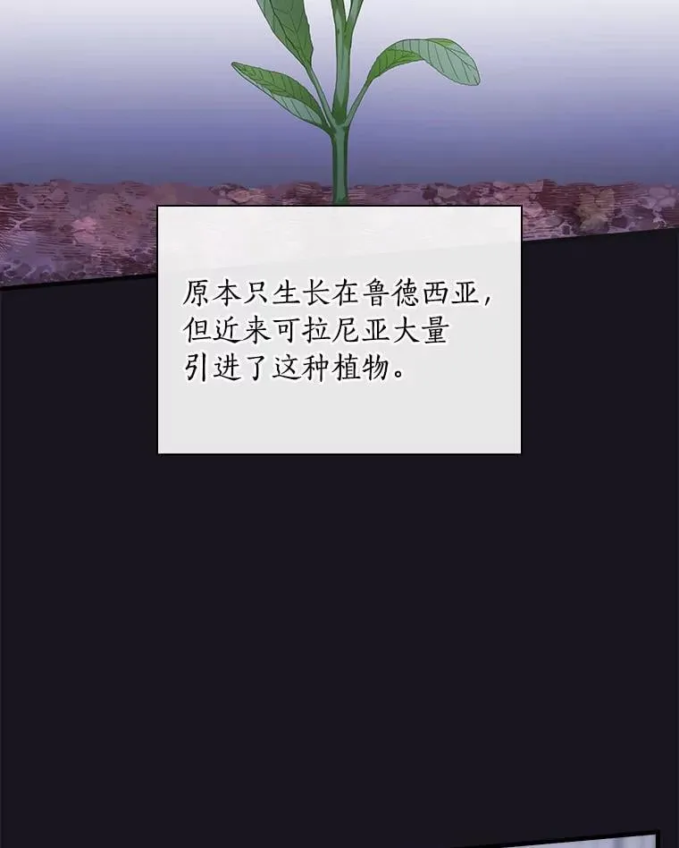 外传5.那个女人死后（5） 第30页